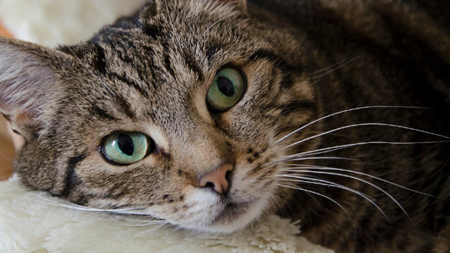 Een Afscheid en een Winactie